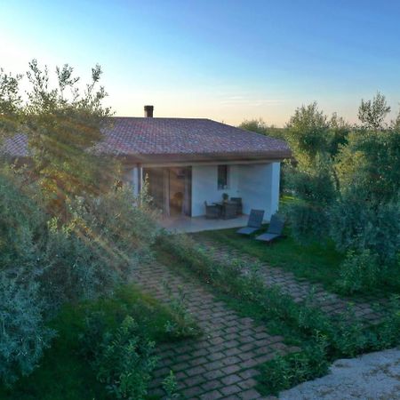 I Secolari Bed & Breakfast Sannicandro di Bari Luaran gambar