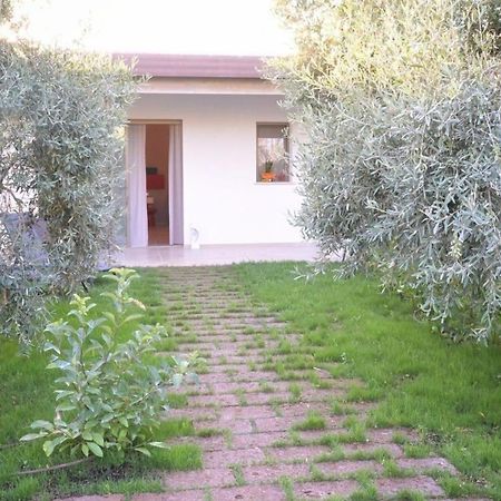 I Secolari Bed & Breakfast Sannicandro di Bari Luaran gambar